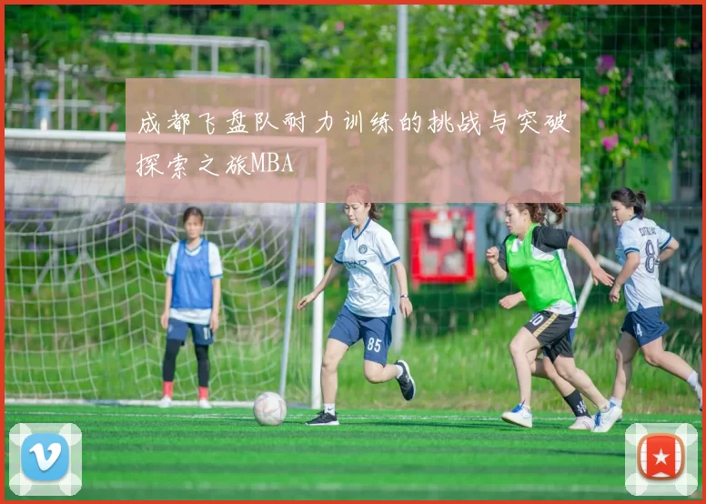 成都飞盘队耐力训练的挑战与突破探索之旅MBA