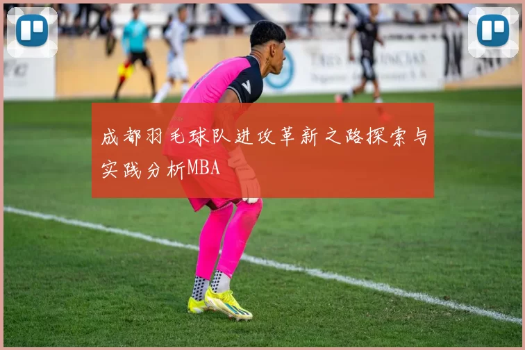 成都羽毛球队进攻革新之路探索与实践分析MBA