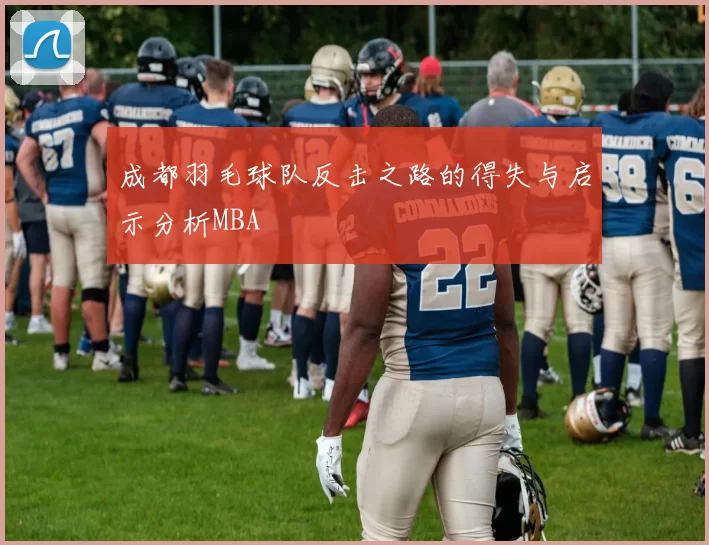 成都羽毛球队反击之路的得失与启示分析MBA