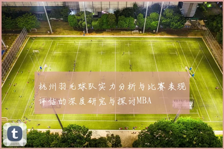 杭州羽毛球队实力分析与比赛表现评估的深度研究与探讨MBA