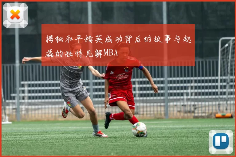 揭秘和平精英成功背后的故事与赵磊的独特见解MBA