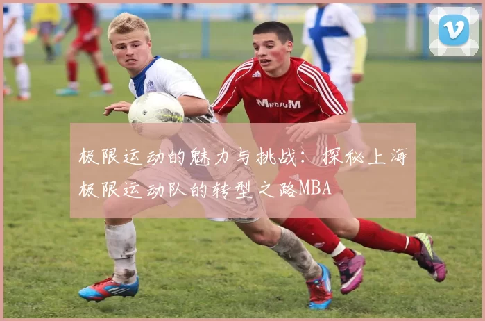 极限运动的魅力与挑战：探秘上海极限运动队的转型之路MBA