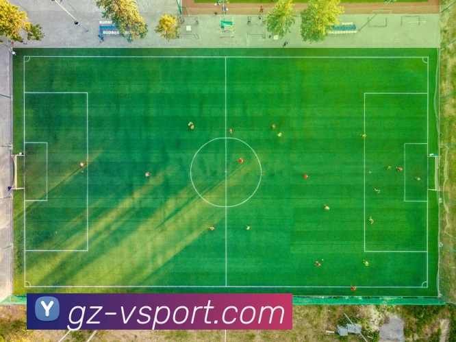 v站体育服务体系