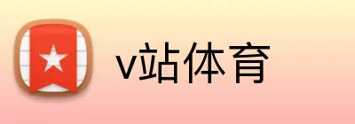 v站体育 Logo